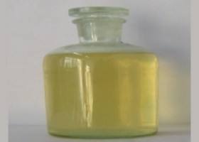 ʳ���Ƥ�w���|ԓ���|�������t�l����